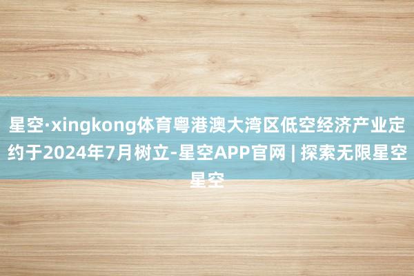 星空·xingkong体育粤港澳大湾区低空经济产业定约于2024年7月树立-星空APP官网 | 探索无限星空