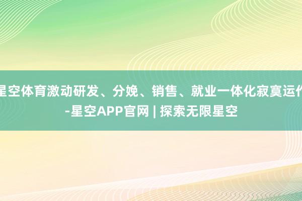 星空体育激动研发、分娩、销售、就业一体化寂寞运作-星空APP官网 | 探索无限星空