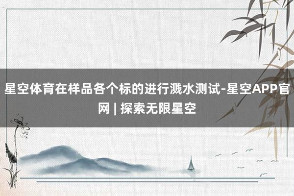 星空体育在样品各个标的进行溅水测试-星空APP官网 | 探索无限星空